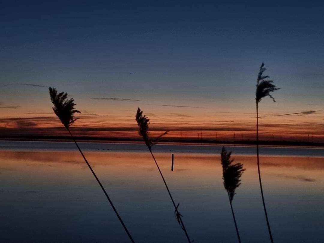 Duemmerliebe Mit Garten, 10 Min. Fusslaeufig Zum See Hüde Exterior foto