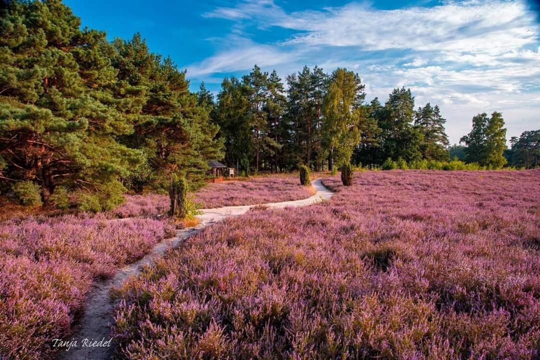 Duemmerliebe Mit Garten, 10 Min. Fusslaeufig Zum See Hüde Exterior foto